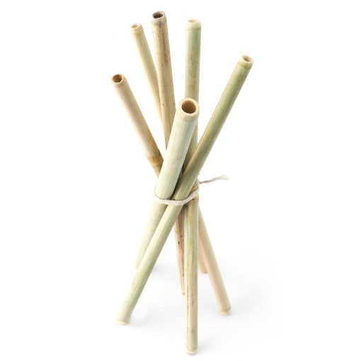 Goli Soda Reusable Bamboo Straws Set Of 6