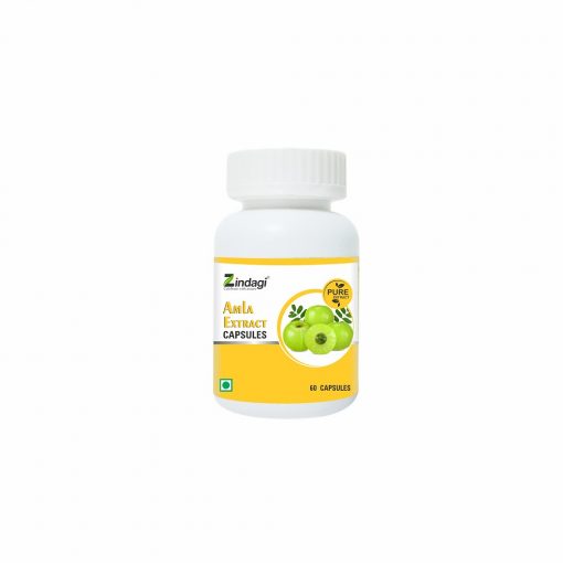 Zindagi Amla Extract Capsule - Immunity Booster - Natural Amla Fruit Extract Powder 60 Caps