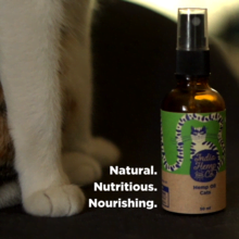 India Hemp And Co. Hemp Seed Pet Oil For Cats - 100ml