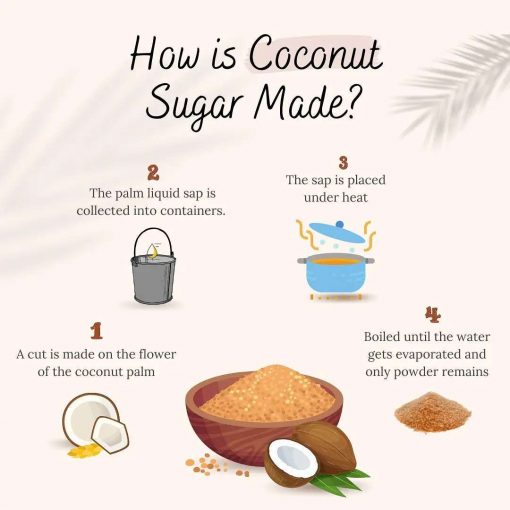 Organic Coconut Sugar | 100 G | Praakritik