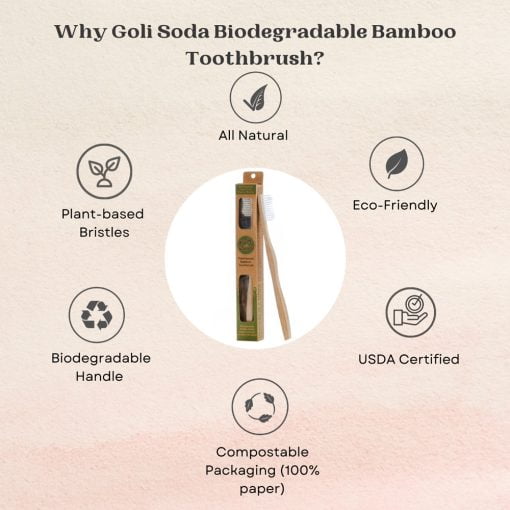 Goli Soda Usda Certified Bamboo Toothbrush For Adults (pack Of 3)