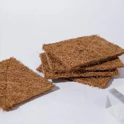 Ecotyl Coconut Scrub Pad - Set Of 5 (5 Pc)
