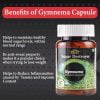 Cipzer Herbals Gymnema Capsule