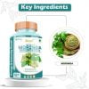 Divya Shree Moringa Capsule Use For Impaired Cell Metabolism, Stomach Disorders, Arthritis, Rheumatoid, Inflammatory, Jeevan Care Ayurveda