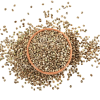 Indus Hemp Natural Hemp Seeds - Rich In Protein & Dietary Fibre | Boosts Immunity | Vegan And Gluten-free - 500gms