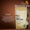 Rasa Health Foods Rasa's Pro Gain- Multimillet Chocolate Health Drink