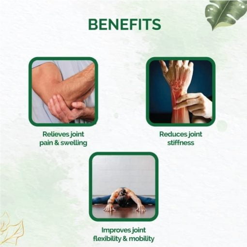 Zenius India Zenius Joint Care Kit For Joint Pain Relief ( Capsule + Oil )