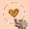 Apple & Fennel Seeds | Freshwoof Mini Hearts Handmade Cookies For Dogs (40-50 Heart-shaped Cookies)