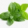Parna Dip Mint Dip Soup | Mint Drink | Kurumulak Drink | Pudhina Drink | Instant Natural Soup | Sachet Soup | Refreshning Soup | 10 Sachets | 20 Gms