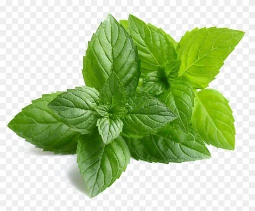 Parna Dip Mint Dip Soup | Mint Drink | Kurumulak Drink | Pudhina Drink | Instant Natural Soup | Sachet Soup | Refreshning Soup | 10 Sachets | 20 Gms