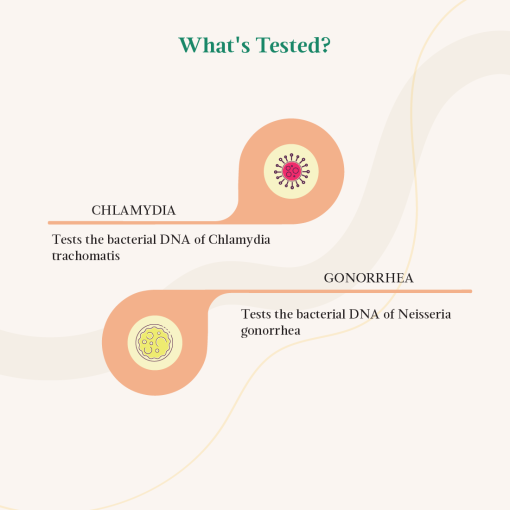 Lifecell Chlamydia And Gonorrhea Test - Female Screen For 2 Most Common Sexually Transmitted Infections In Females