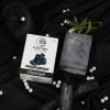 Lion Tree Handmade Charcoal Soap With Goodness Of Sal Butter 110gm