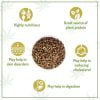 Moksa Hemp Seeds, The Ultimate Immunity Booster 900gm