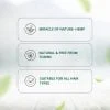 Hampa Hemp Amla Hair Oil | With Hemp, Amla & Coconut | Contains Edestin Protein, Omega 3&6, Vitamin E | Complete Nutrition For Hair Growth | Free From Harmful Chemicals | 100 Ml