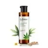 Hampa Hemp Arthritis Care Oil | Power Of Hemp | Effective And Long-term Management Of Rheumatoid Arthritis | With Full Spectrum Vijaya Leaf Extract And 13 Other Ayurvedic Herbs | 100% Natural And Ayurvedic | Pack Of 1 - 100ml