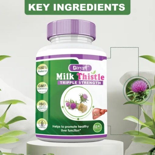 Milk Thistle Extract Detox Supplement For Men And Women With 800Mg Of Silybum Marianum For Healthy Liver | Helps in Cleanse Liver