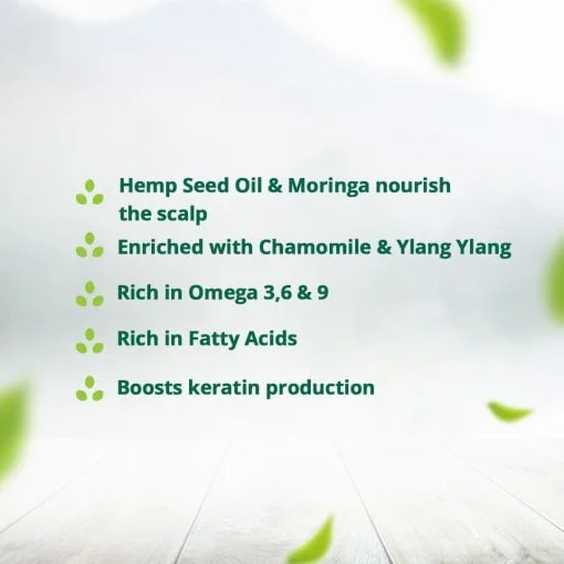 Hampa Hemp Moringa Hair Oil | With Hemp, Moringa | Contains Omega 3&6, Vitamin E | Prevent Hair Fall And Dandruff | 100 Ml