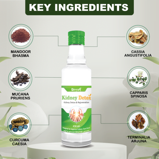 Divya Shree Kidney Detox Syrup Support To Kidney Detoxification, Remove Kidney Stone & Ensures Easy Flow Of Urine 450ml