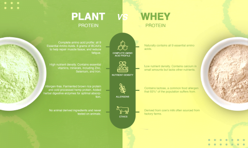 Moksa Hemp & Brown Rice Protein Powder - The Best Plant-based Protein 900gm