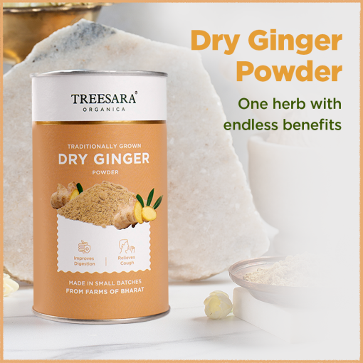 Treesara Organica Dry Ginger Powder