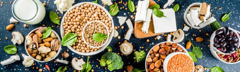 Vegan Protein Alternatives You Show Know About