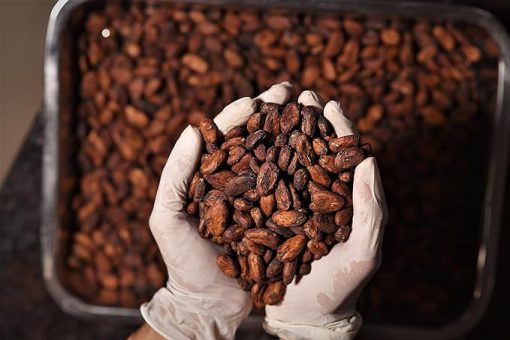 Anuttama Dark Chocolate | 62% Cocoa | Natural Jaggery Sweetened & Roasted Almonds | Dark Chocolate Bar | 50gm