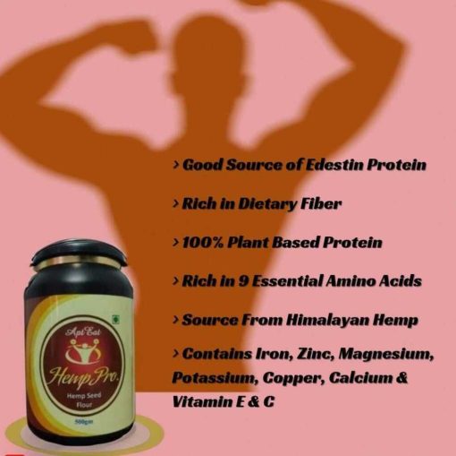 Apteat Hemp Pro - Plant Based Hemp Protein Powder - Builds Lean Muscles - Easily Digestible - Gluten Free - 500 Gm