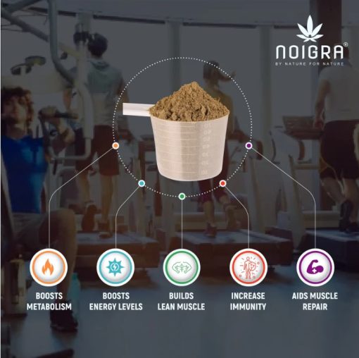 Noigra Hemp Protein Powder 540gm